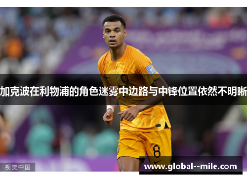 加克波在利物浦的角色迷雾中边路与中锋位置依然不明晰 加克波在利物浦的角色迷雾中边路与中锋位置依然不明晰